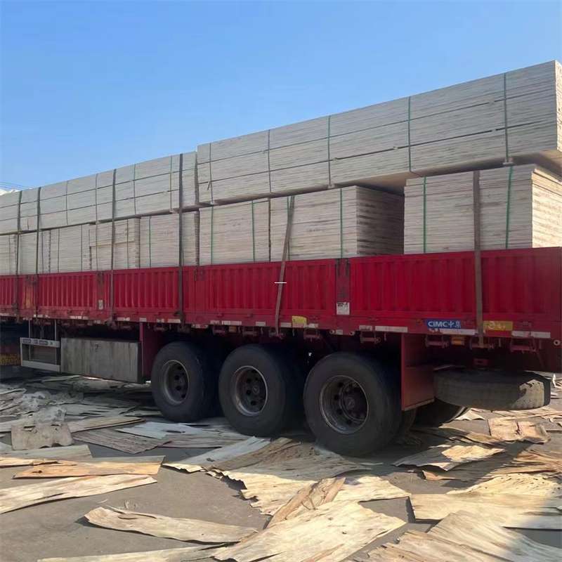 胶州市探寻会东县进仓物流的多元运输奥秘