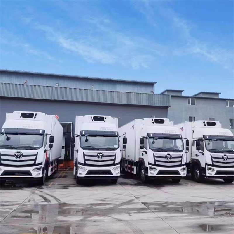 胶州市新龙县进仓物流：多元专线直达运输探秘